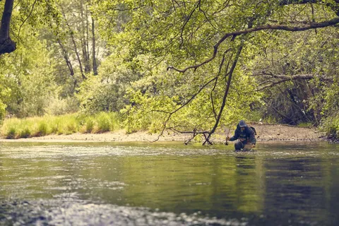 A tree-lined trout river in the province of León