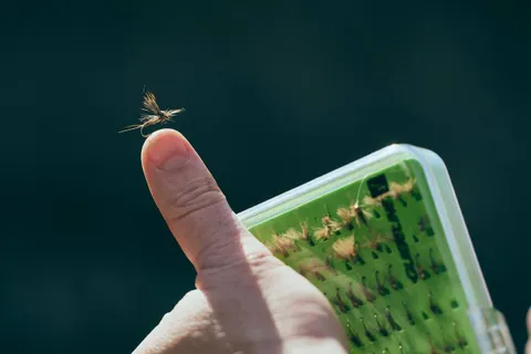 A fly box of dry flies and nymphs used on the rivers of León